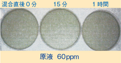 原液 60ppm