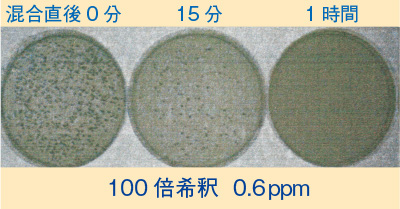 100倍希釈 0.6ppm