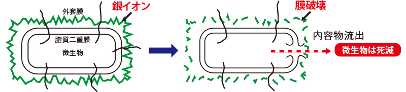 銀イオン水の除菌プロセス